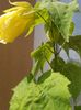 20150822_114112