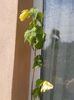 20150822_114118