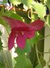 20150828_092234