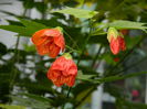 DSCN4114