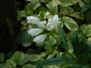 DSCN4168