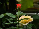 DSCN4225