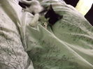 DSC04758