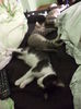 DSC04762