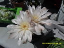 SAM_0809