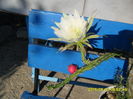 SAM_0877