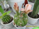 SAM_0947