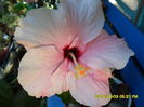 SAM_0819