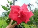 SAM_0881