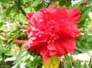 SAM_0902