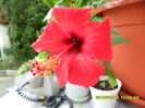 SAM_0903