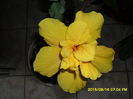 SAM_0910