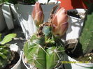 SAM_0933