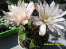 SAM_0942