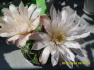 SAM_0943