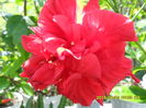 SAM_0944