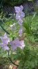 WP_20150826_012