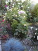 DSC04451