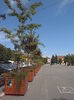 P8250186