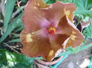 P1230798