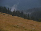 DSCF1140