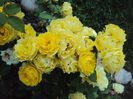 DSC04793