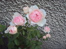 DSC05028