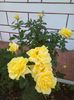 IMG_20150830_173357