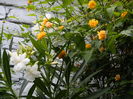 DSCN4259