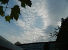 DSCN4260