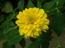 DSCN4293