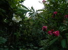 DSCN4316