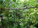 DSCN4326
