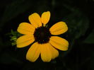 DSCN4334