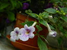 DSCN4362