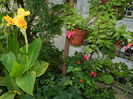 DSCN4378