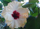 DSC03361