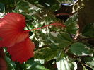 Picture 040