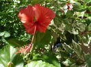 Picture 041