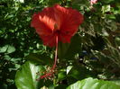 Picture 042