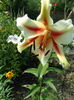 DSC09818