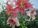 DSC09826