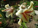 DSC09952