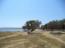 DSC05494