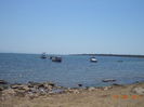 DSC05497