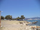 DSC05503