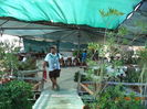 DSC05541