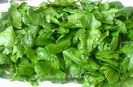 x-IMG_4859