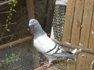 Picture 3479