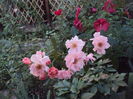 DSC05001